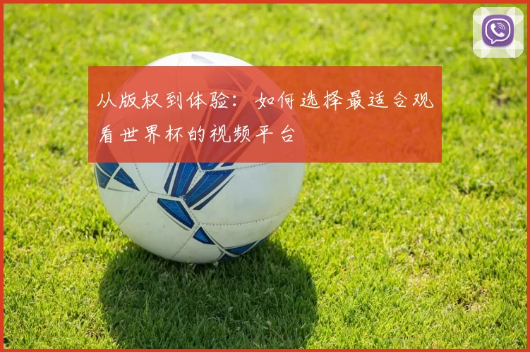 从版权到体验:如何选择最适合观看世界杯的视频平台