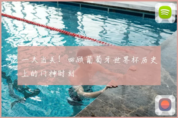 一夫当关!回顾葡萄牙世界杯历史上的门神时刻