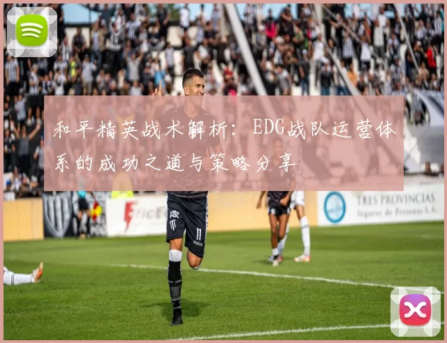 和平精英战术解析:EDG战队运营体系的成功之道与策略分享