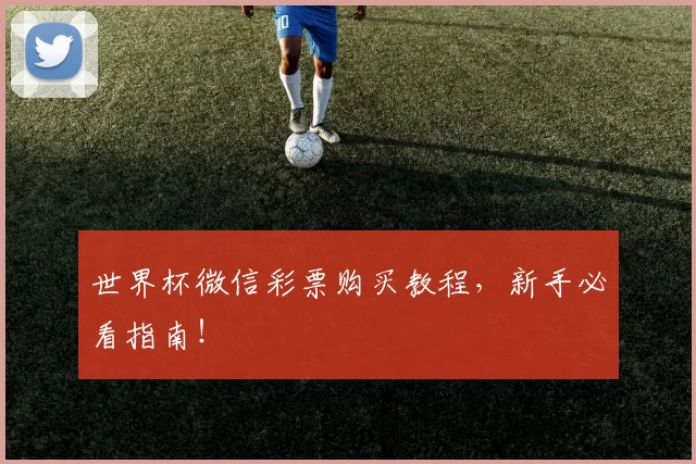 世界杯微信彩票购买教程,新手必看指南!