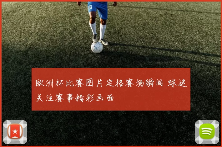 欧洲杯比赛图片定格赛场瞬间 球迷关注赛事精彩画面