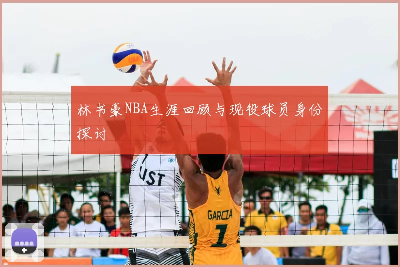 林书豪NBA生涯回顾与现役球员身份探讨