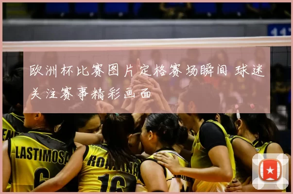 欧洲杯比赛图片定格赛场瞬间 球迷关注赛事精彩画面
