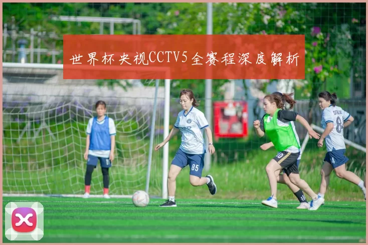 世界杯央视CCTV5全赛程深度解析