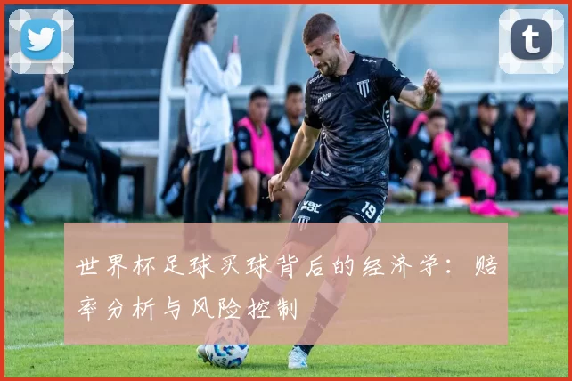 世界杯足球买球背后的经济学：赔率分析与风险控制