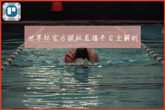世界杯官方授权直播平台全解析