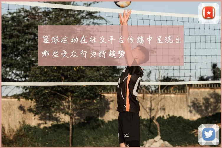篮球运动在社交平台传播中呈现出哪些受众行为新趋势