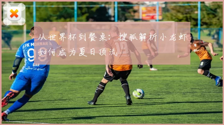 从世界杯到餐桌:搜狐解析小龙虾如何成为夏日顶流