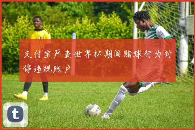 支付宝严查世界杯期间赌球行为封停违规账户
