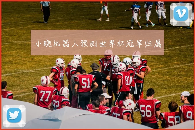 小晓机器人预测世界杯冠军归属