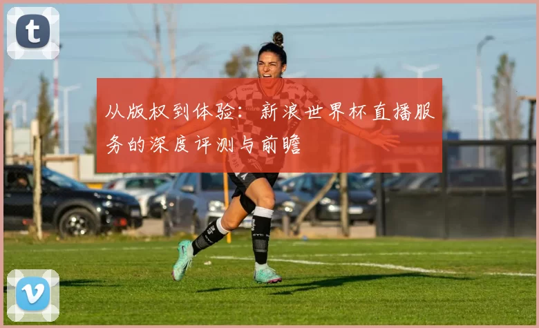 从版权到体验:新浪世界杯直播服务的深度评测与前瞻