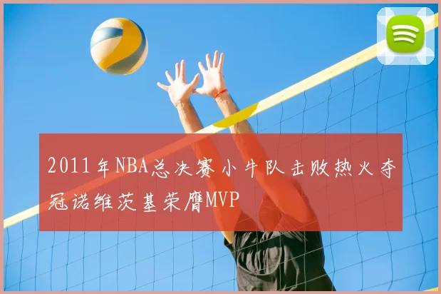 2011年NBA总决赛小牛队击败热火夺冠诺维茨基荣膺MVP