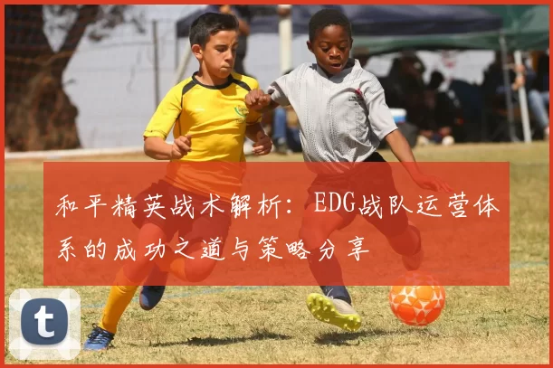 和平精英战术解析:EDG战队运营体系的成功之道与策略分享
