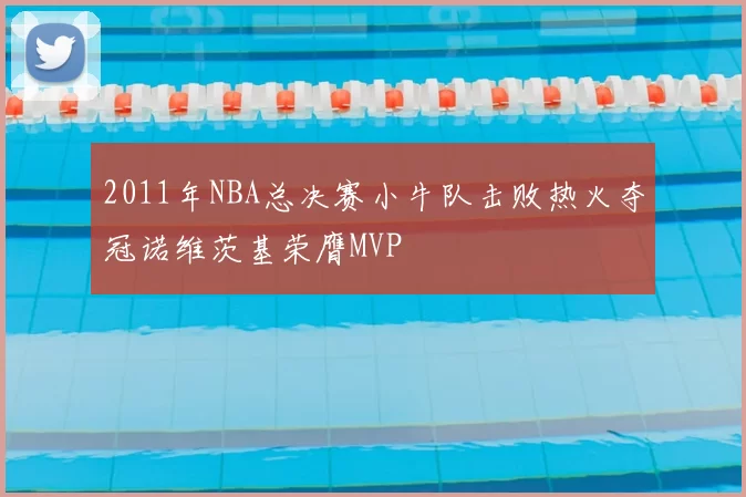 2011年NBA总决赛小牛队击败热火夺冠诺维茨基荣膺MVP