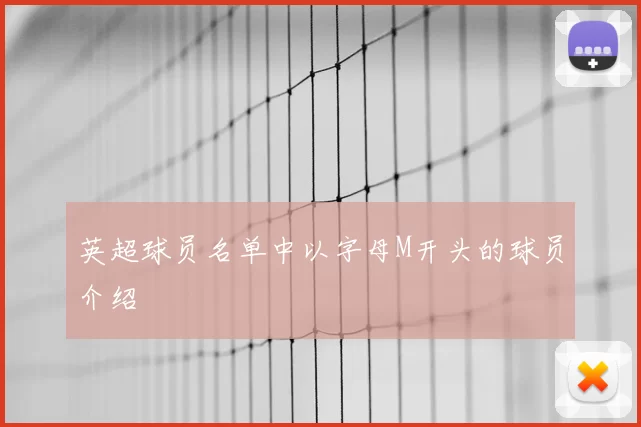 英超球员名单中以字母M开头的球员介绍