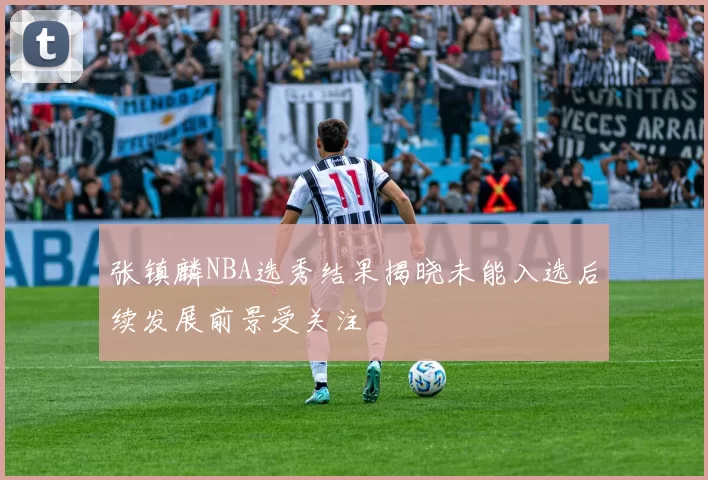 张镇麟NBA选秀结果揭晓未能入选后续发展前景受关注