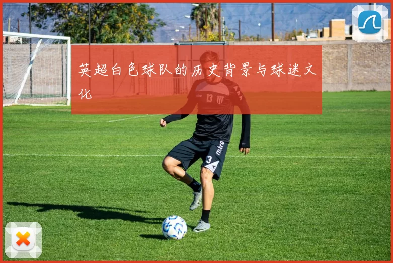 英超白色球队的历史背景与球迷文化