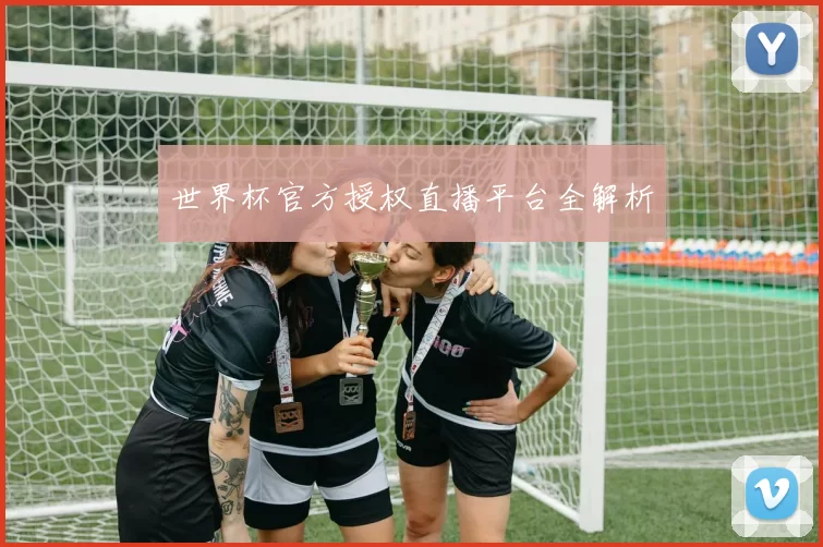世界杯官方授权直播平台全解析