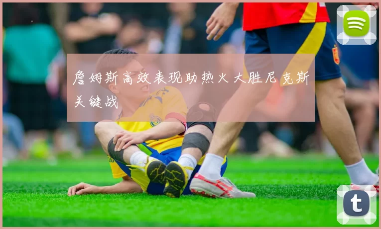 詹姆斯高效表现助热火大胜尼克斯关键战