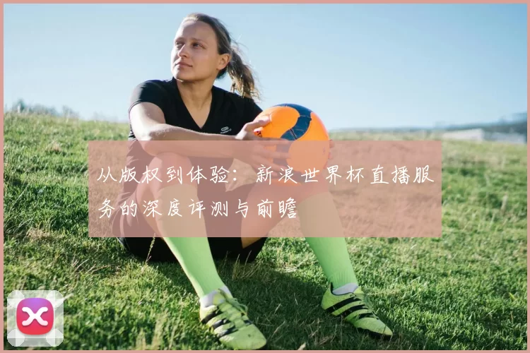 从版权到体验:新浪世界杯直播服务的深度评测与前瞻