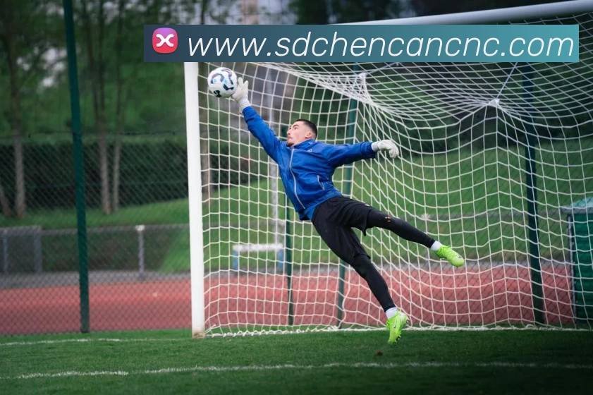 星空官网平台生态图