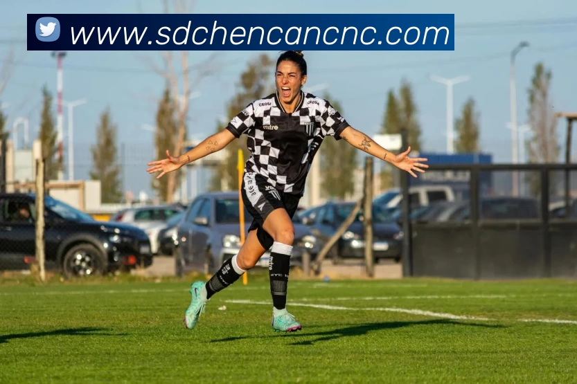 星空官网APP 封面图